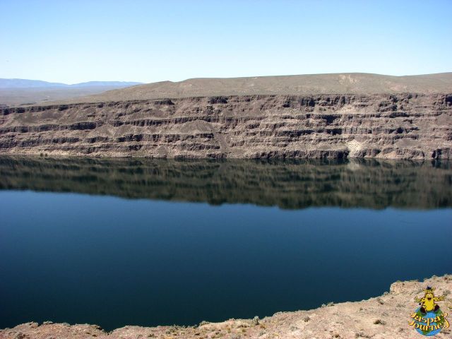 Ginkgo Petrified Forest State Park is located atop the basalt cliff that line Wanapum Lake reservoir