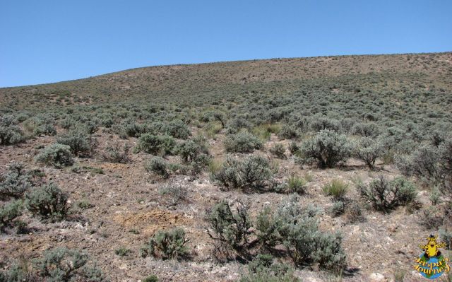 Ginkgo Petrified Forest State Park is today arid scrubland